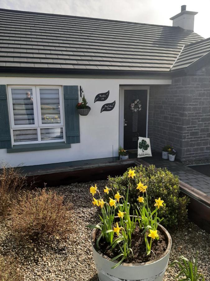 Bed and Breakfast Number 14 à Downpatrick Extérieur photo
