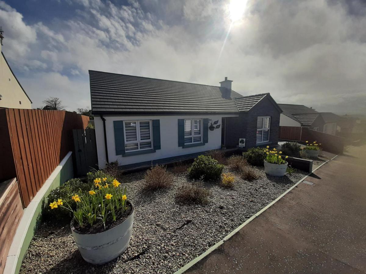 Bed and Breakfast Number 14 à Downpatrick Extérieur photo